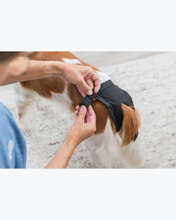 Гігієнічні труси Trixie XL 60-70 см (чорні) - фото 3