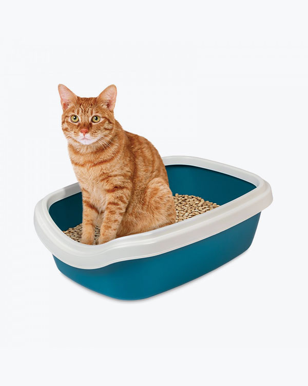 Туалет Природа Comfort M для котів, ультрамарин, 41х30х13,5 см - фото 2