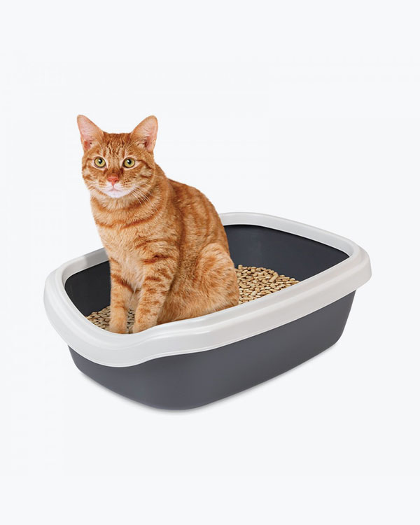 Туалет Природа Comfort M для котів, сірий, 41х30х13,5 см - фото 2