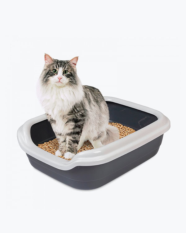 Туалет Природа Comfort L для котів, сірий, 49х39х15 см - фото 2